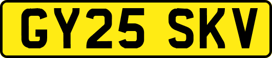GY25SKV