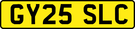 GY25SLC