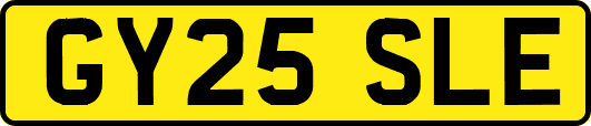 GY25SLE