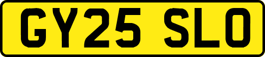 GY25SLO