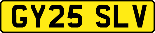 GY25SLV