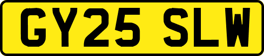 GY25SLW