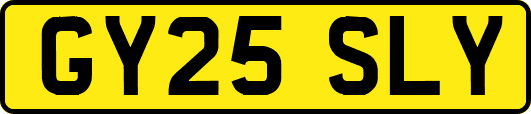 GY25SLY