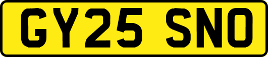 GY25SNO