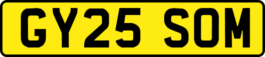 GY25SOM