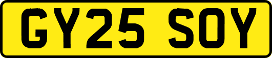 GY25SOY