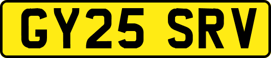 GY25SRV