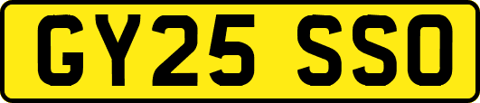 GY25SSO