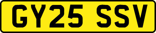 GY25SSV