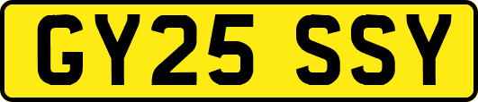GY25SSY