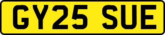 GY25SUE