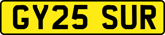 GY25SUR