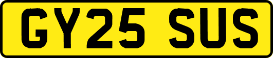 GY25SUS