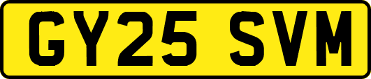 GY25SVM