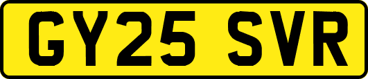 GY25SVR
