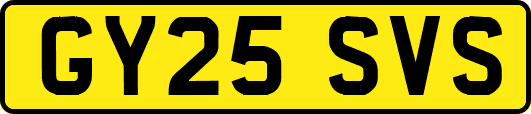 GY25SVS