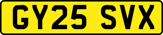 GY25SVX