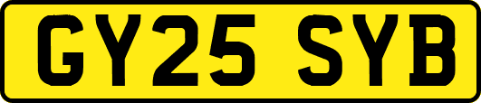 GY25SYB
