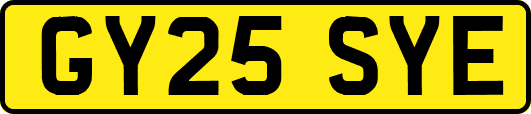 GY25SYE