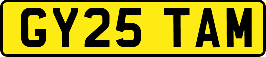 GY25TAM
