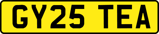 GY25TEA