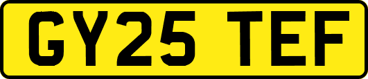 GY25TEF