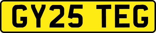 GY25TEG