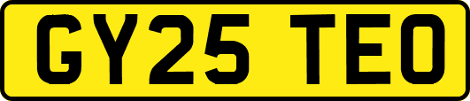 GY25TEO