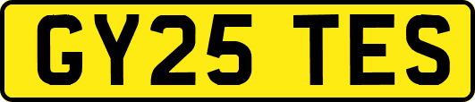 GY25TES