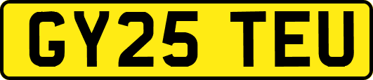 GY25TEU