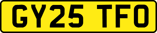 GY25TFO