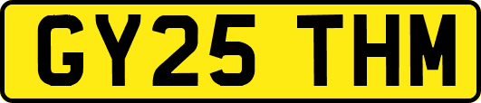 GY25THM
