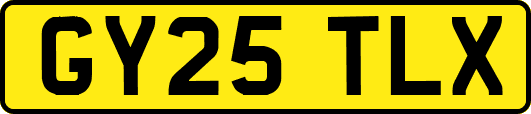 GY25TLX