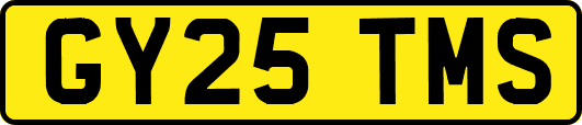 GY25TMS