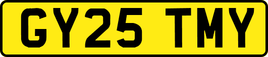 GY25TMY