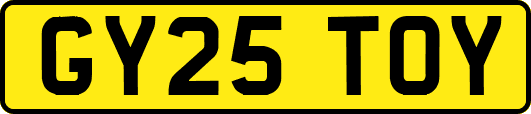 GY25TOY