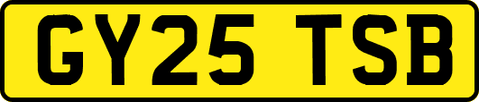 GY25TSB