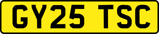 GY25TSC