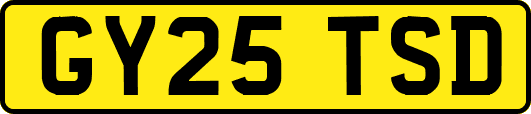 GY25TSD