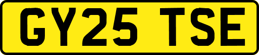 GY25TSE