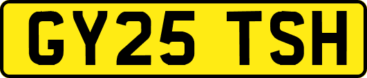 GY25TSH
