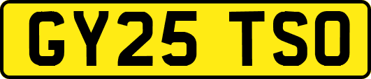 GY25TSO
