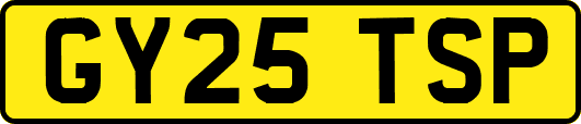 GY25TSP