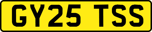 GY25TSS