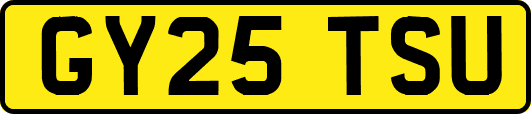GY25TSU