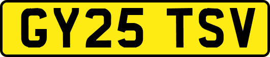 GY25TSV