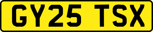 GY25TSX
