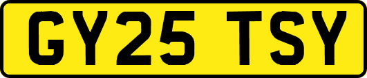 GY25TSY