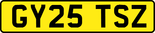 GY25TSZ