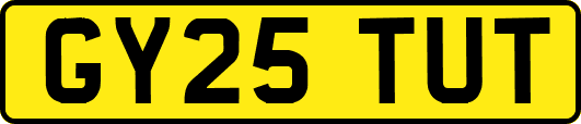GY25TUT